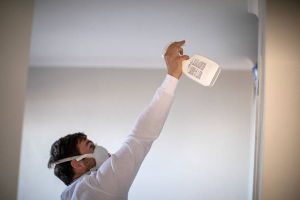 Best White Mold Remediation in Johnson City, NY